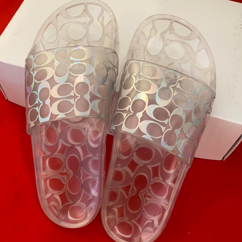 Coach slides (clear)
